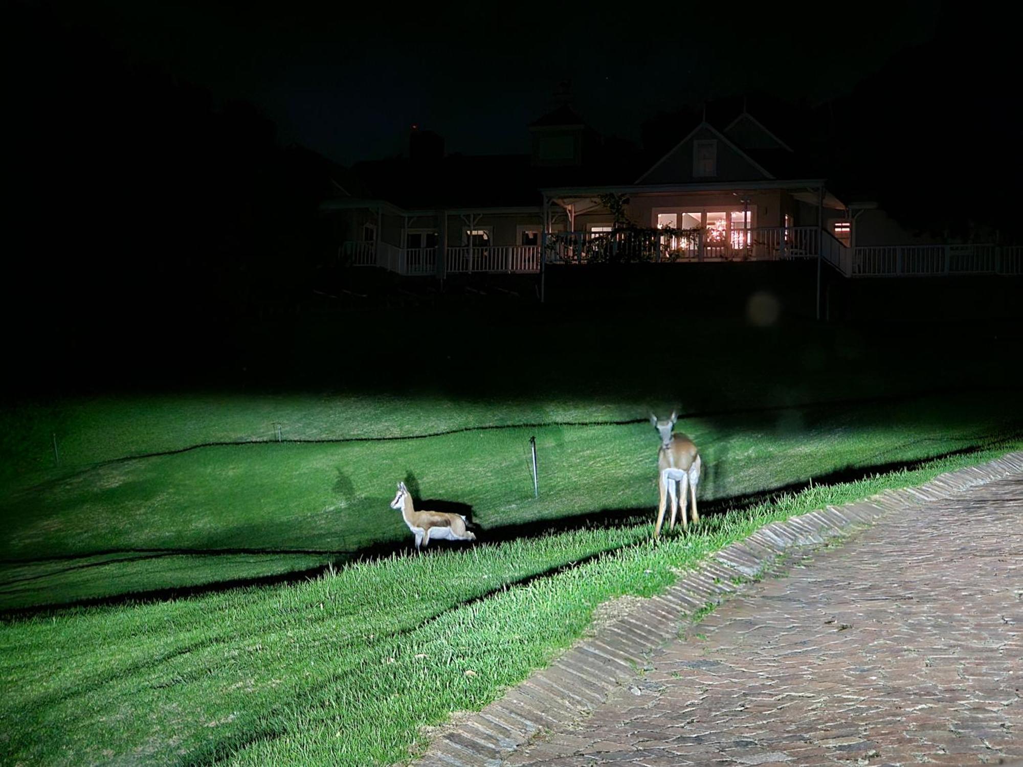 Die Heerenhuys Guest Suites Stellenbosch Exterior foto